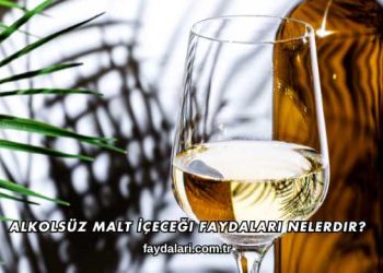 Alkolsüz Malt İçeceği Faydaları Nelerdir?