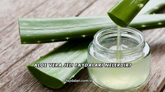 Aloe Vera Jeli Faydaları Nelerdir?