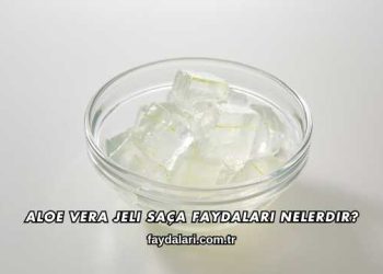 Aloe Vera Jeli Saça Faydaları Nelerdir?