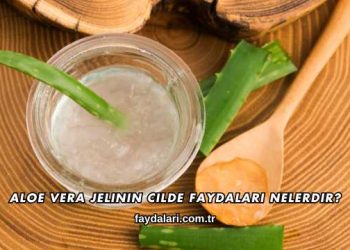 Aloe Vera Jelinin Cilde Faydaları Nelerdir?