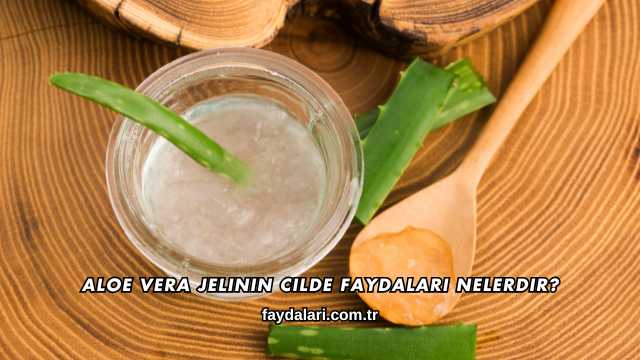 Aloe Vera Jelinin Cilde Faydaları Nelerdir?