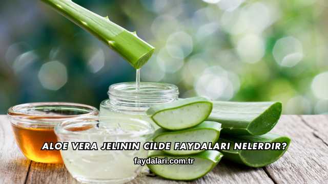 Aloe Vera Jelinin Cilde Faydaları Nelerdir?