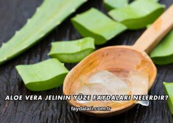 Aloe Vera Jelinin Yüze Faydaları Nelerdir?