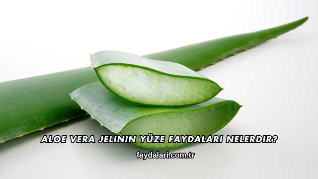 Aloe Vera Jelinin Yüze Faydaları Nelerdir?