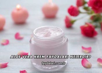 Aloe Vera Krem Faydaları Nelerdir?