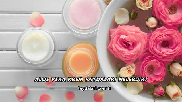 Aloe Vera Krem Faydaları Nelerdir?