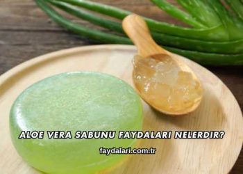 Aloe Vera Sabunu Faydaları Nelerdir?
