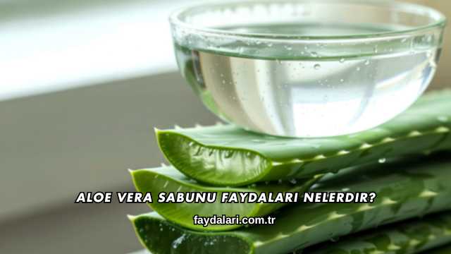 Aloe Vera Sabunu Faydaları Nelerdir?