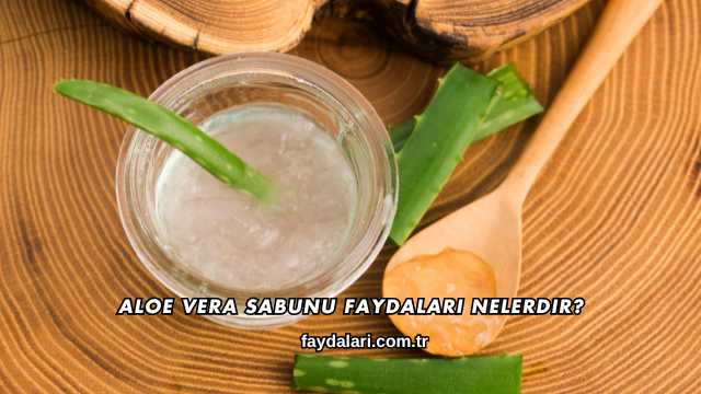 Aloe Vera Sabunu Faydaları Nelerdir?