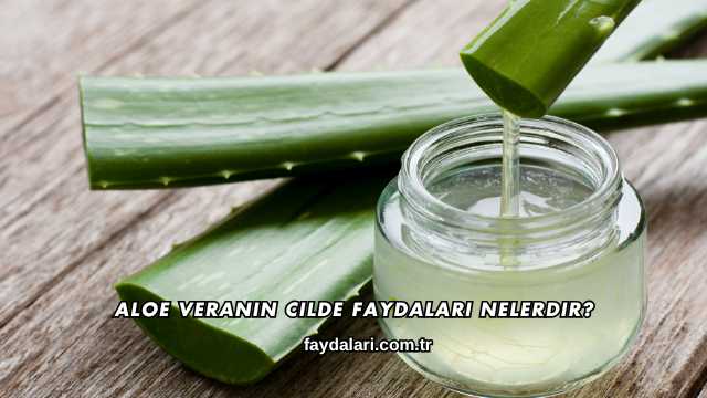 Aloe Veranın Cilde Faydaları Nelerdir?