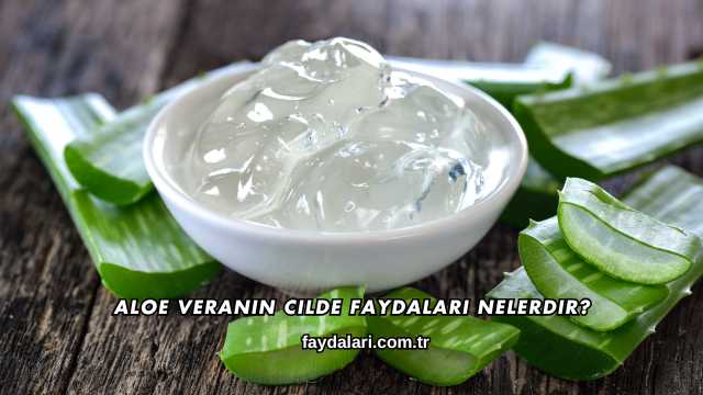 Aloe Veranın Cilde Faydaları Nelerdir?