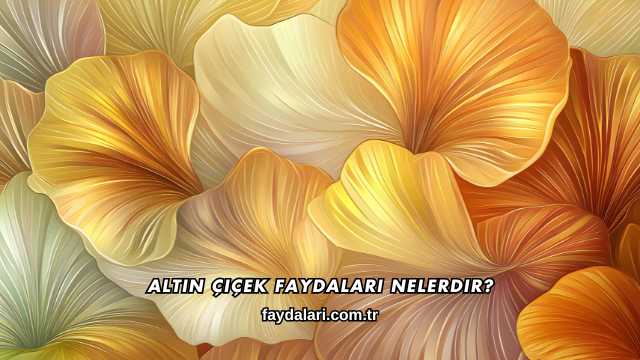 Altın Çiçek Faydaları Nelerdir?