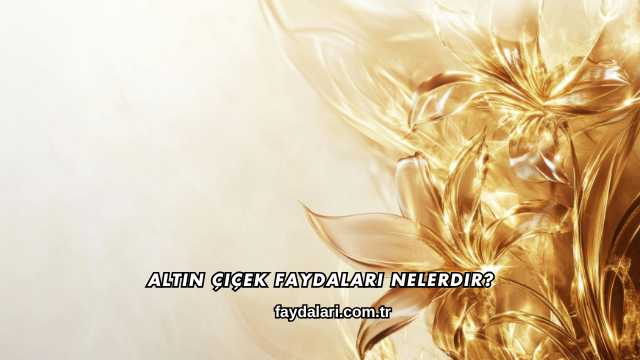 Altın Çiçek Faydaları Nelerdir?