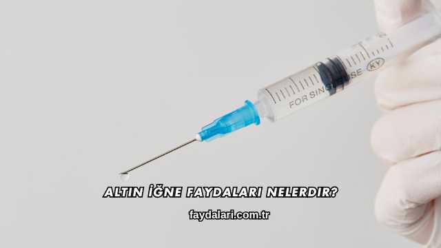 Altın İğne Faydaları Nelerdir?
