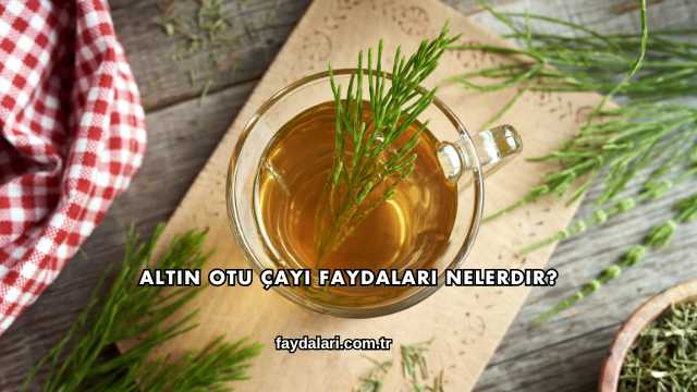Altın Otu Çayı Faydaları Nelerdir?
