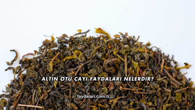 Altın Otu Çayı Faydaları Nelerdir?