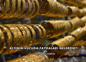Altının Vücuda Faydaları Nelerdir?