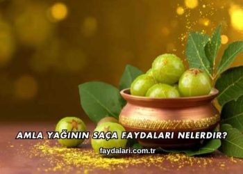Amla Yağının Saça Faydaları Nelerdir?