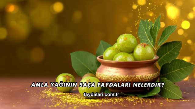 Amla Yağının Saça Faydaları Nelerdir?