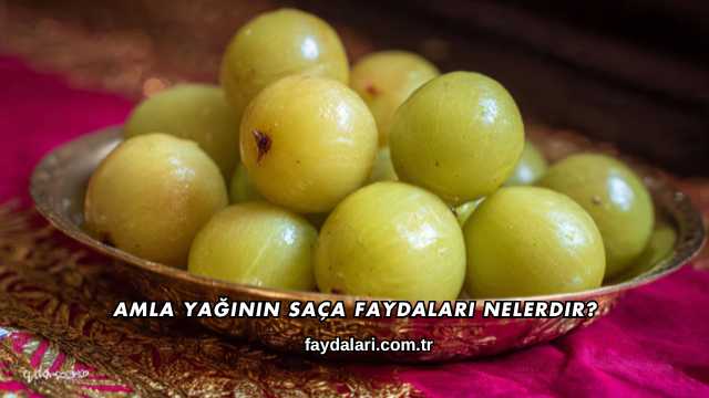 Amla Yağının Saça Faydaları Nelerdir?