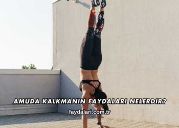 Amuda Kalkmanın Faydaları Nelerdir?