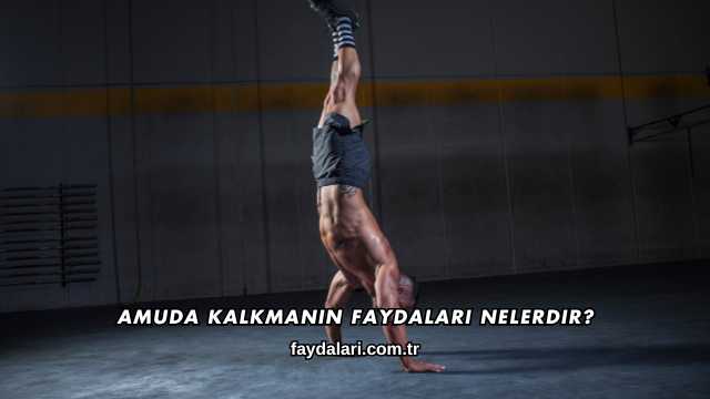 Amuda Kalkmanın Faydaları Nelerdir?