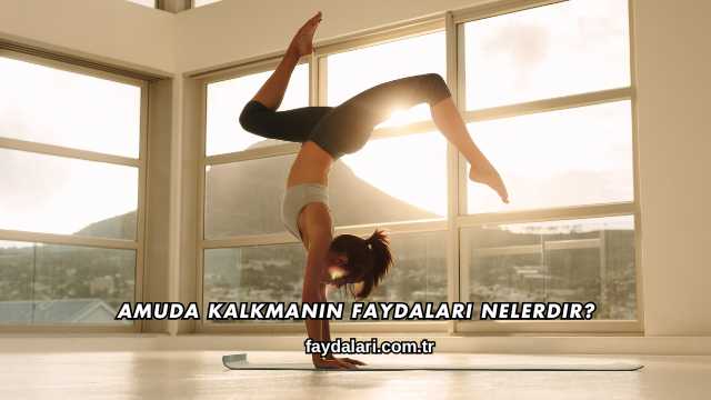 Amuda Kalkmanın Faydaları Nelerdir?