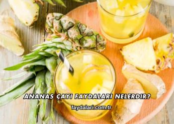 Ananas Çayı Faydaları Nelerdir?