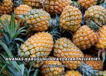 Ananas Kabuğunun Faydaları Nelerdir?