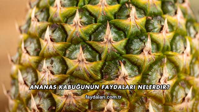 Ananas Kabuğunun Faydaları Nelerdir?