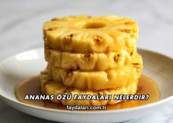 Ananas Özü Faydaları Nelerdir?