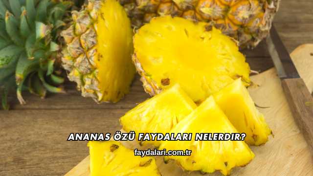 Ananas Özü Faydaları Nelerdir?