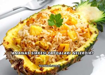 Ananas Sirkesi Faydaları Nelerdir?