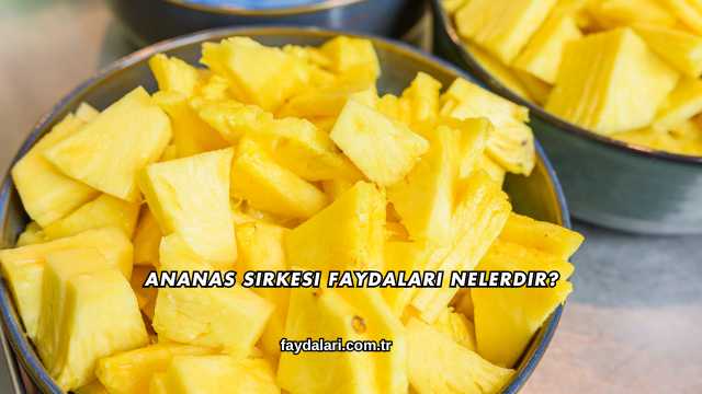 Ananas Sirkesi Faydaları Nelerdir?