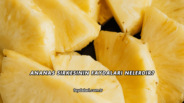 Ananas Sirkesinin Faydaları Nelerdir?