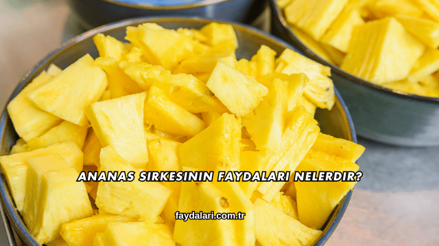 Ananas Sirkesinin Faydaları Nelerdir?