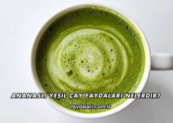 Ananaslı Yeşil Çay Faydaları Nelerdir?