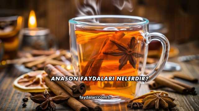 Anason Faydaları Nelerdir?