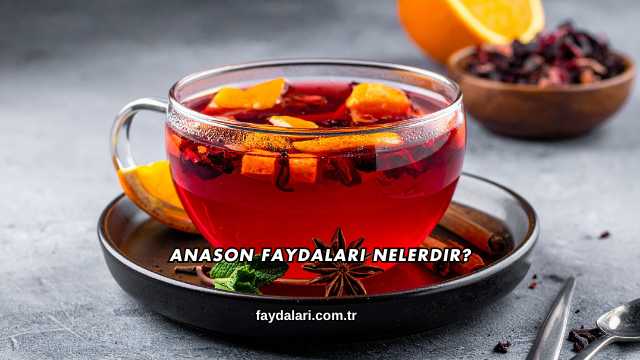 Anason Faydaları Nelerdir?