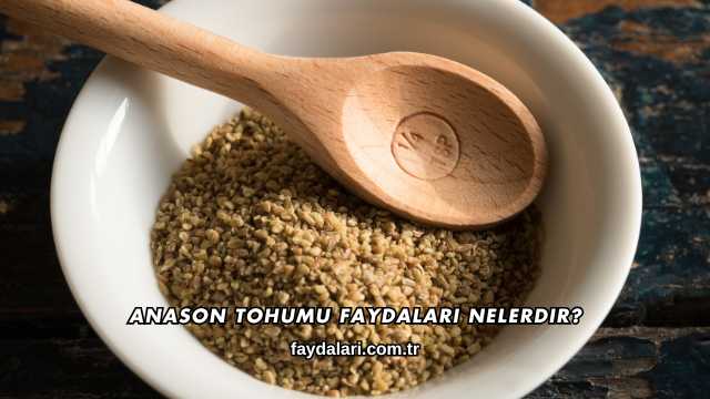 Anason Tohumu Faydaları Nelerdir?