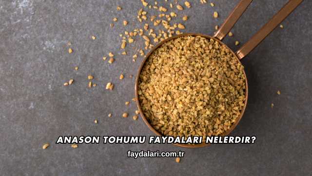 Anason Tohumu Faydaları Nelerdir?
