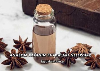 Anason Yağının Faydaları Nelerdir?