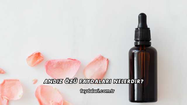 Andız Özü Faydaları Nelerdir?