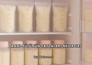 Anne Sütünün Faydaları Nelerdir?