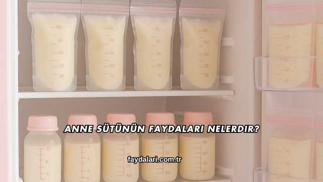 Anne Sütünün Faydaları Nelerdir?