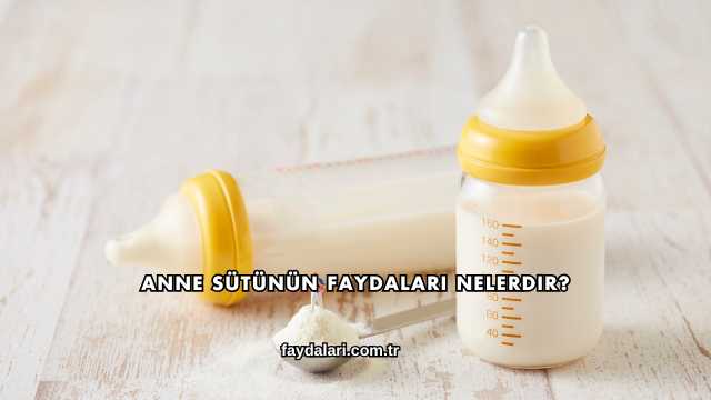 Anne Sütünün Faydaları Nelerdir?