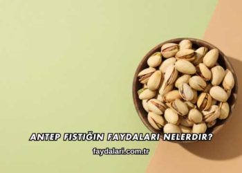 Antep Fıstığın Faydaları Nelerdir?
