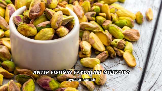 Antep Fıstığın Faydaları Nelerdir?