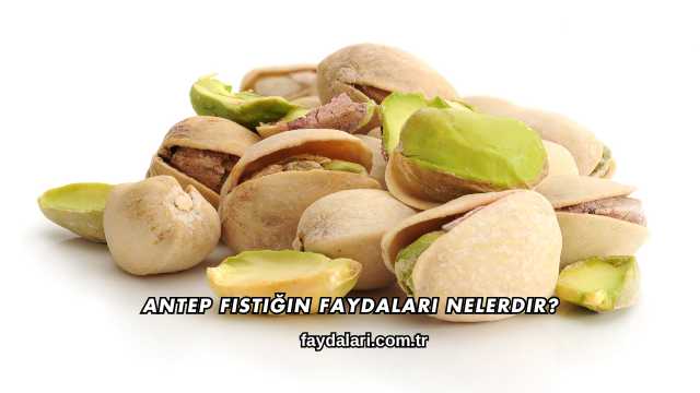 Antep Fıstığın Faydaları Nelerdir?