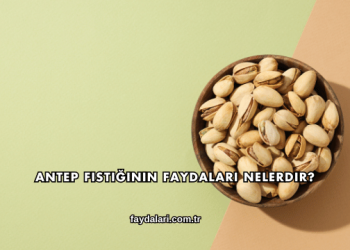 Antep Fıstığının Faydaları Nelerdir?